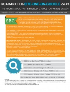 SEO Brochure